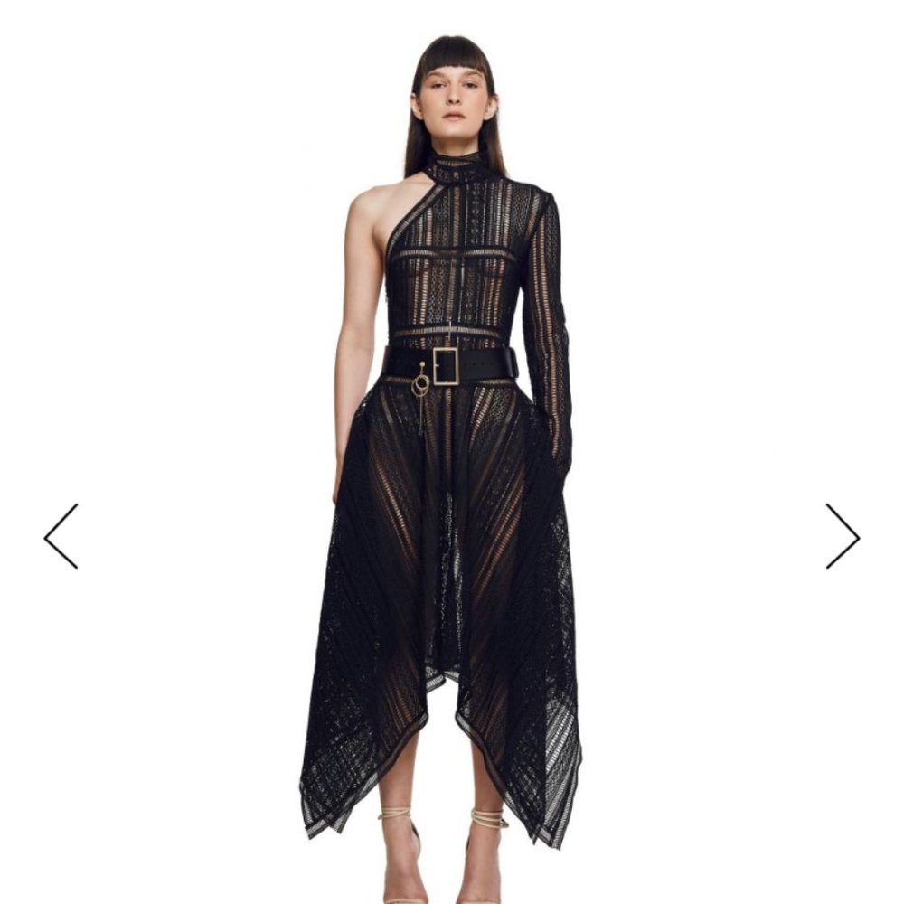 Leo and Lin NWT Lace Runway Dress